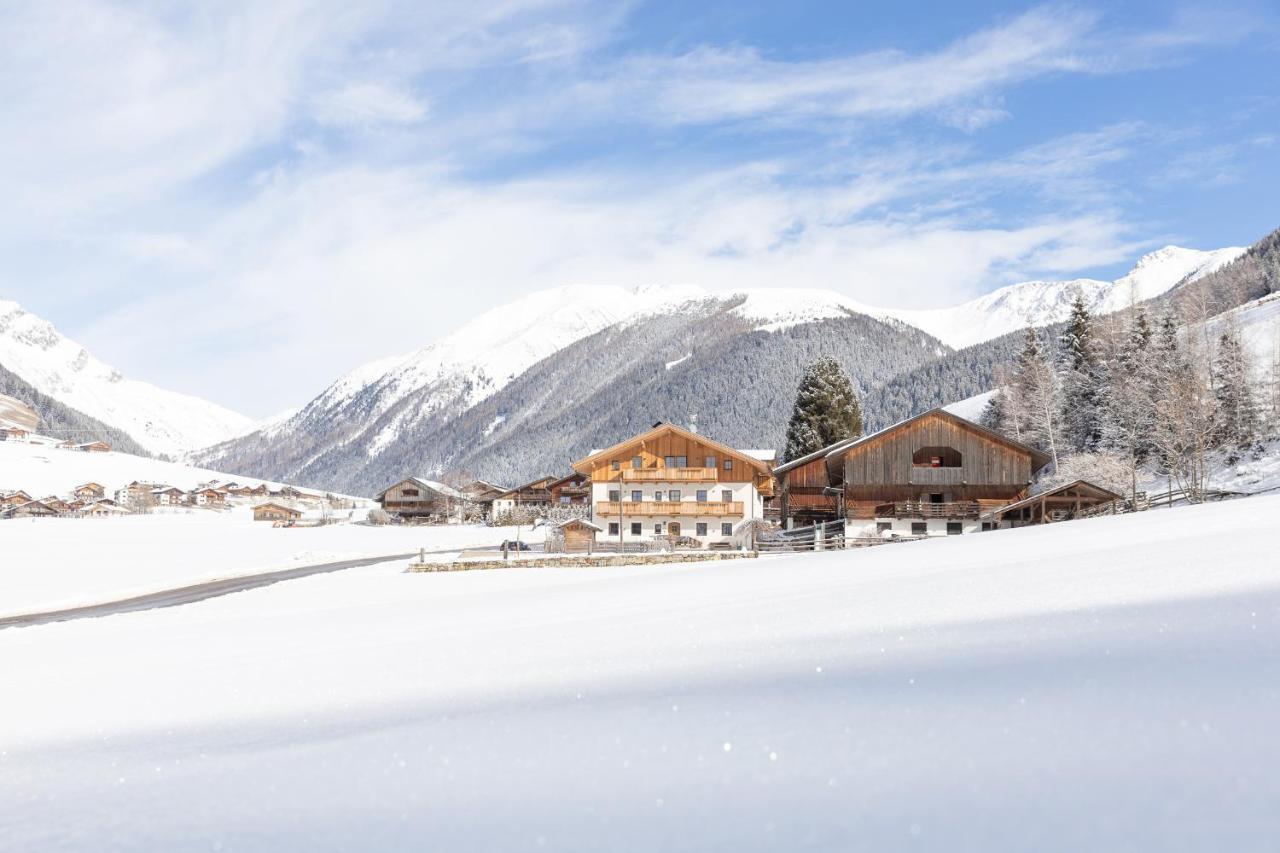 Unterweckerlerhof Apartment Santa Maddalena in Casies Екстериор снимка